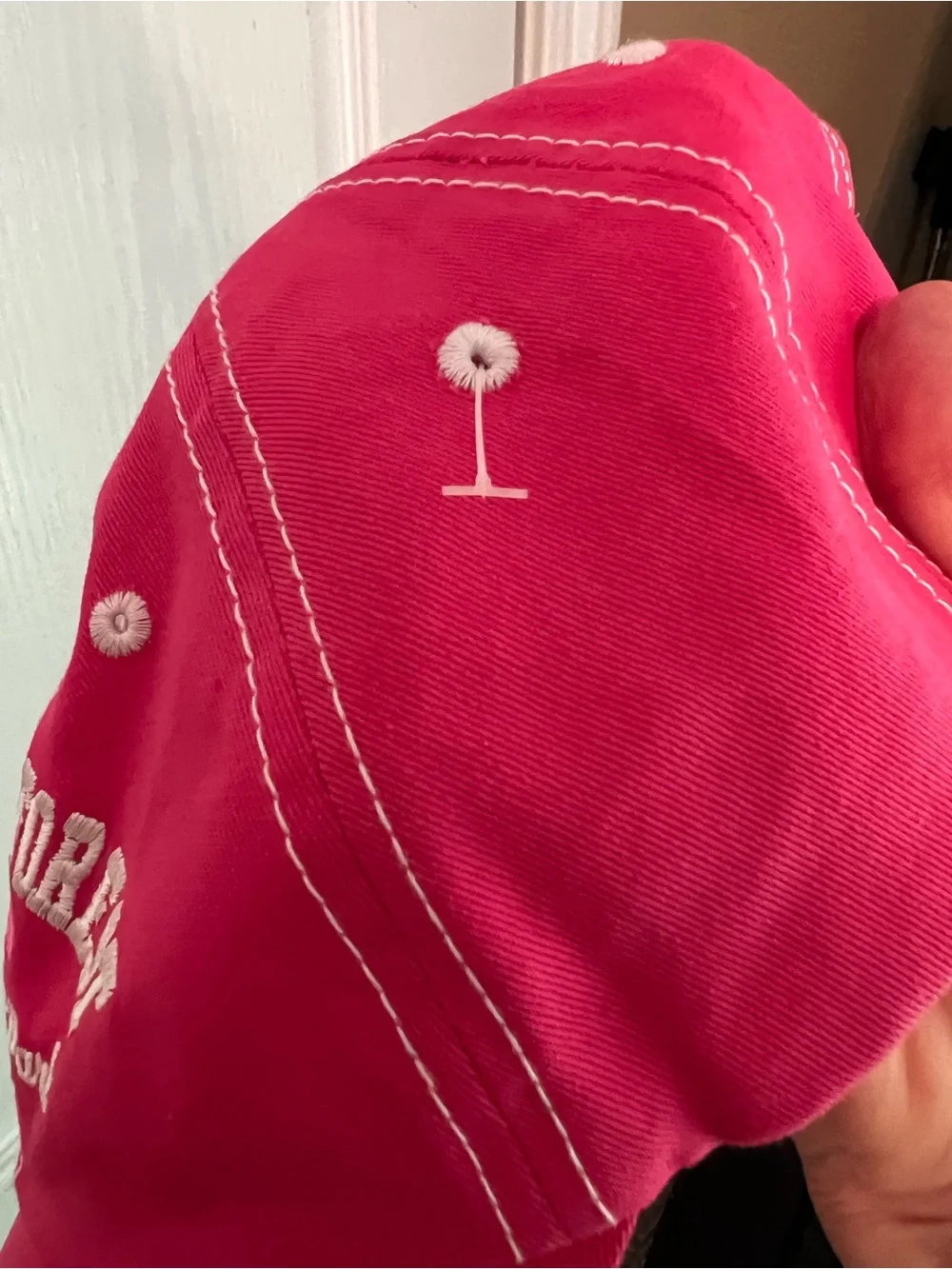 Pink National Park Cap